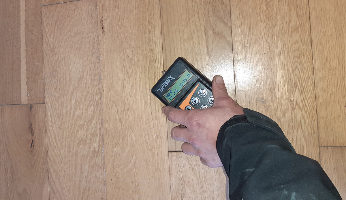 Non-invasive moisture meter checking excess moisture inside a property