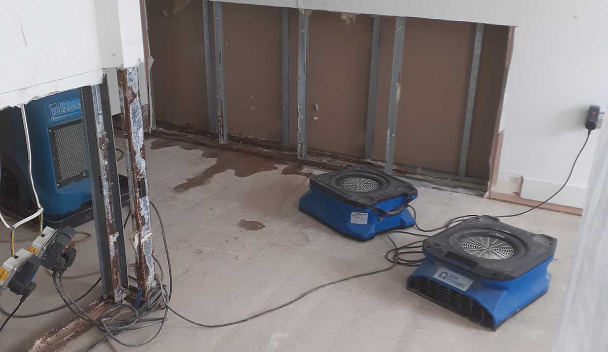 Professional drying equipment operating inside a water-damaged property